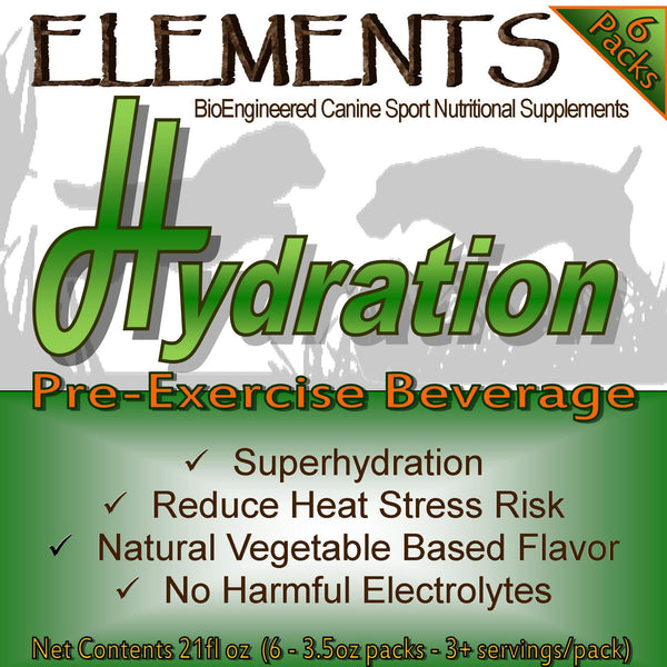 Elements H Hydration Sport Pack Box