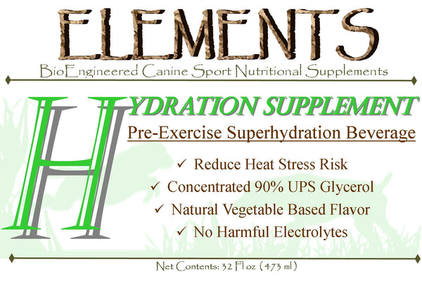 Elements H Pre-exercise Hydration Beverage