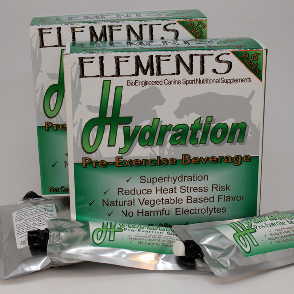 Elements H Pre-exercise Hydration 3.5 oz Sport Pack Pouches