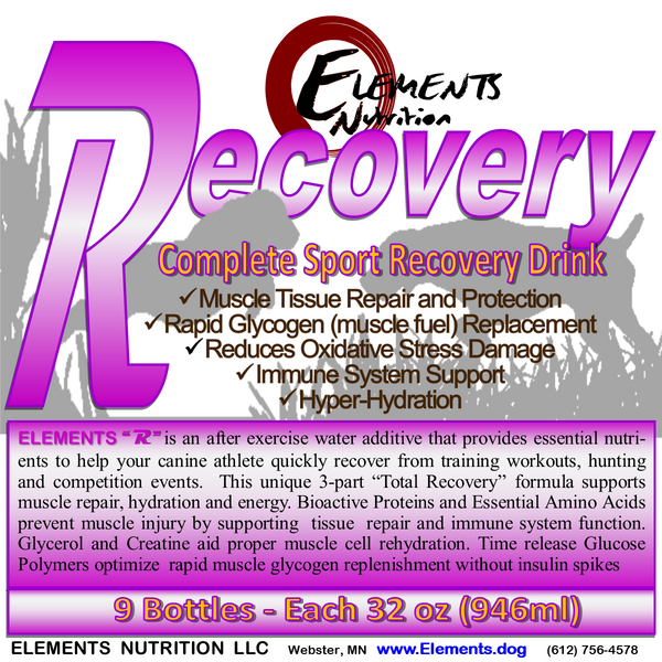 Elements R Exercise Recovery Beverage